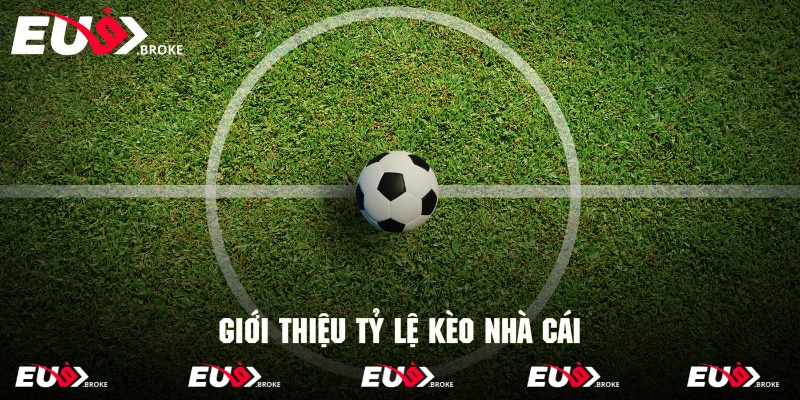 Giới thiệu sơ qua về tỷ lệ kèo nhà cái